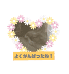 つくしのすたんぷ。〜こころを癒すつくし〜（個別スタンプ：7）