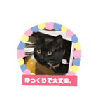 つくしのすたんぷ。〜こころを癒すつくし〜（個別スタンプ：8）