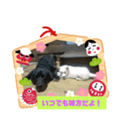 つくしのすたんぷ。〜こころを癒すつくし〜（個別スタンプ：9）