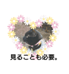 つくしのすたんぷ。〜こころを癒すつくし〜（個別スタンプ：13）