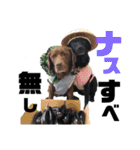 黒ラブびーたん＆チョコラブケリー4（個別スタンプ：12）