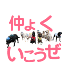 黒ラブびーたん＆チョコラブケリー4（個別スタンプ：17）