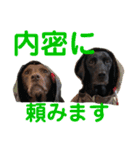 黒ラブびーたん＆チョコラブケリー4（個別スタンプ：32）