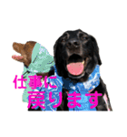 黒ラブびーたん＆チョコラブケリー4（個別スタンプ：39）