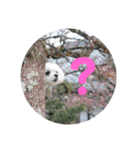 ふうおやつ（個別スタンプ：2）