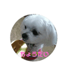ふうおやつ（個別スタンプ：5）