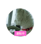 ふうおやつ（個別スタンプ：6）