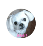 ふうおやつ（個別スタンプ：10）