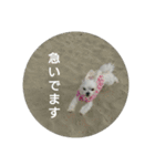 ふうおやつ（個別スタンプ：11）