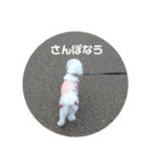 ふうおやつ（個別スタンプ：14）