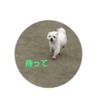 ふうおやつ（個別スタンプ：15）