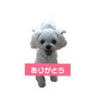 ふうおやつ（個別スタンプ：16）