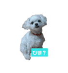 ふうおやつ（個別スタンプ：17）
