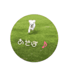 ふうおやつ（個別スタンプ：18）