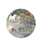 ふうおやつ（個別スタンプ：23）