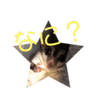 ゆーもものスタンプその1（個別スタンプ：11）