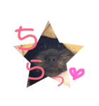 ゆーもものスタンプその1（個別スタンプ：40）