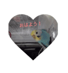 レインボーインコ（個別スタンプ：2）