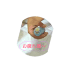 レインボーインコ（個別スタンプ：8）