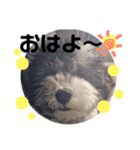 もんぱん☆スタンプ2（個別スタンプ：13）