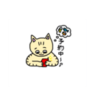 こじろう猫（個別スタンプ：6）