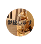 ねこねこいっしょ（個別スタンプ：14）