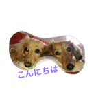アルル＆ニーナ（個別スタンプ：5）