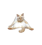 猫まみれ(ハムスター入り)（個別スタンプ：19）