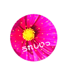 シンプル普段使いスタンプ（個別スタンプ：1）
