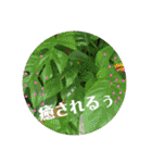 シンプル普段使いスタンプ（個別スタンプ：2）