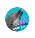 シンプル普段使いスタンプ（個別スタンプ：3）