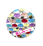 シンプル普段使いスタンプ（個別スタンプ：5）