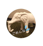 シンプル普段使いスタンプ（個別スタンプ：9）