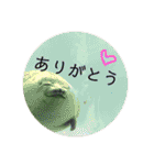 シンプル普段使いスタンプ（個別スタンプ：10）