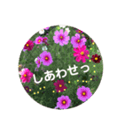 シンプル普段使いスタンプ（個別スタンプ：12）