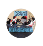 Red stamp -1-（個別スタンプ：3）