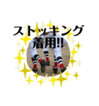 Red stamp -1-（個別スタンプ：4）