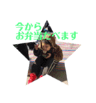 Red stamp -1-（個別スタンプ：8）