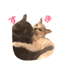 ♡3ニャン姉妹♡（個別スタンプ：14）
