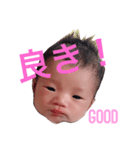 ひなたんだよ（個別スタンプ：5）