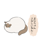 おならで喋るねこ（まなちゃん）（個別スタンプ：33）