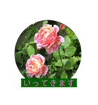 薔薇で挨拶 敬語スタンプ（個別スタンプ：6）
