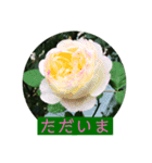 薔薇で挨拶 敬語スタンプ（個別スタンプ：9）