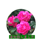 薔薇で挨拶 敬語スタンプ（個別スタンプ：10）