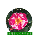 薔薇で挨拶 敬語スタンプ（個別スタンプ：23）