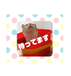 ラテくんスタンプ❤️（個別スタンプ：9）