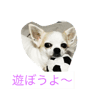 まろはる（個別スタンプ：2）