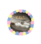 まろはる（個別スタンプ：5）