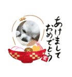 まろはる（個別スタンプ：7）