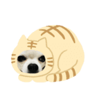 まろはる（個別スタンプ：8）